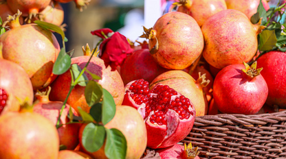 British Grass Fed Lamb-Dry Dog Food