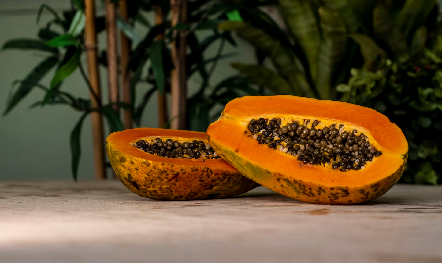 Turkey & Pork-Dry Dog Food