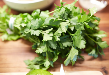 Turkey & Pork-Dry Dog Food