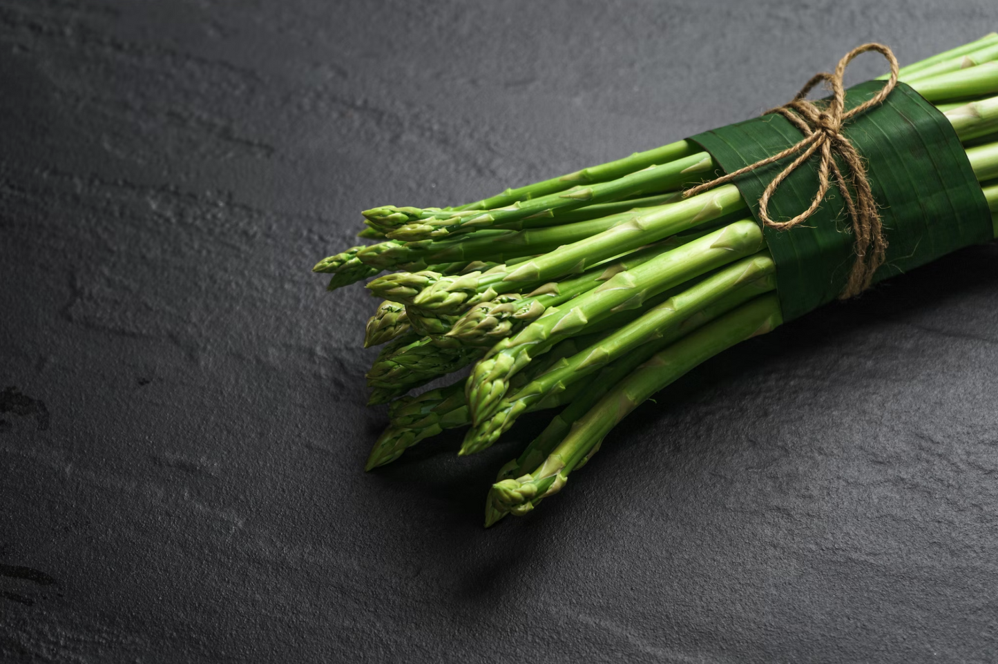 Puppy - Scottish Salmon-Dry Dog Food