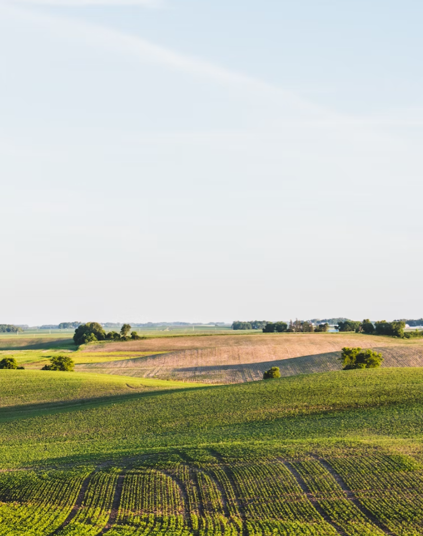 Turkey & Rice - Premium