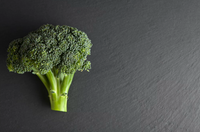 Tuna & Broccoli-Dry Dog Food