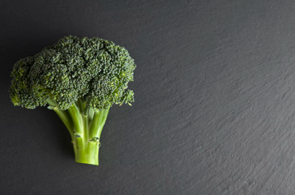 Tuna & Broccoli-Dry Dog Food