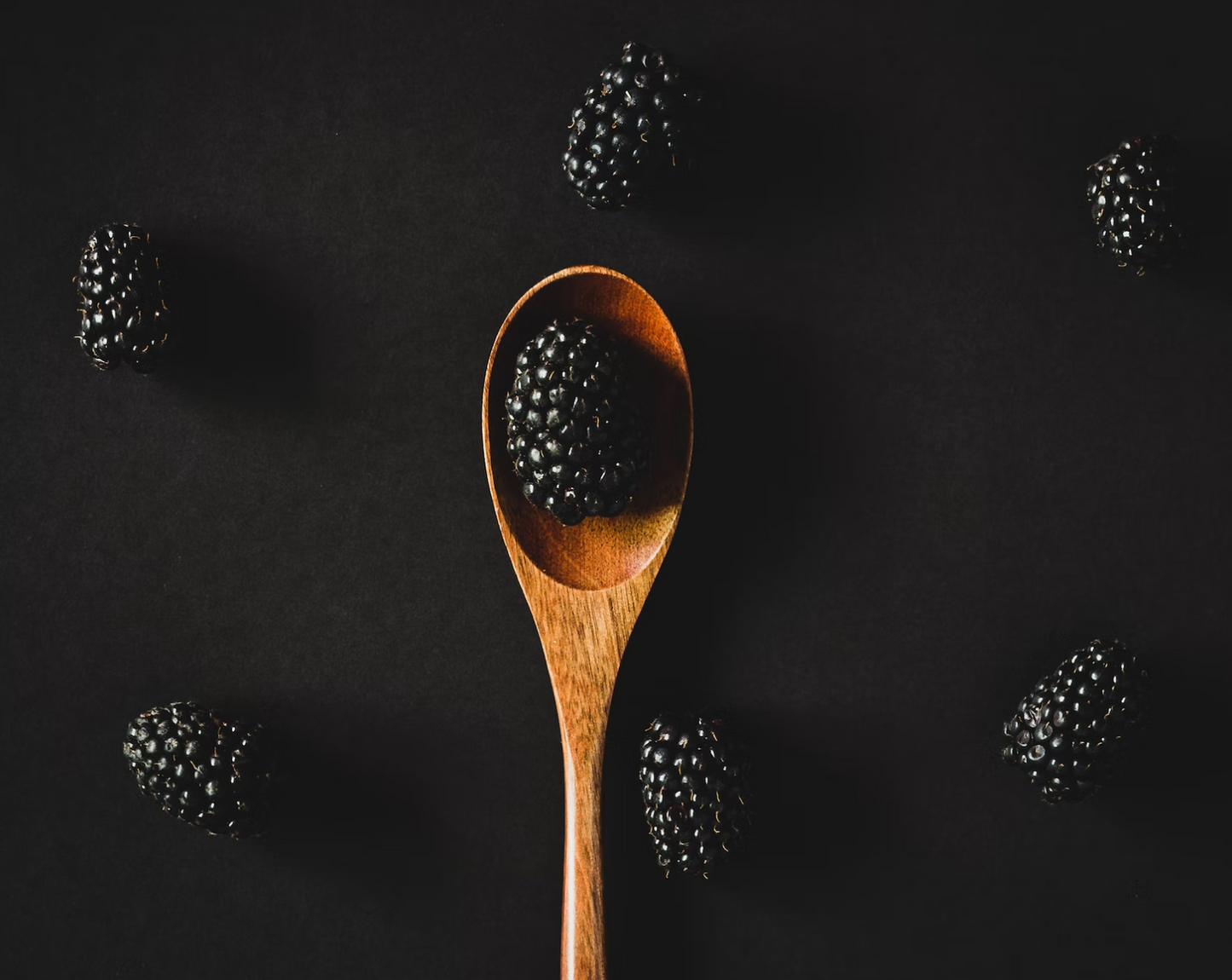 Rabbit & Blackberry-Dry Dog Food