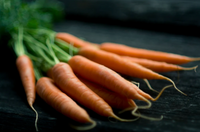 Angus Beef & Carrot-Dry Dog Food