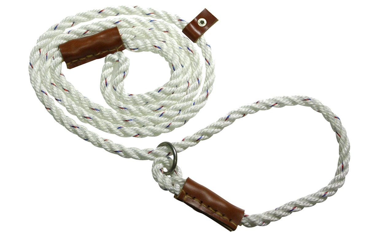 Bisley Field Trial Lead | Pre-Stretched Polyester with Leather Details | Slip Lead