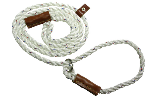 Field Trial Lead by Bisley