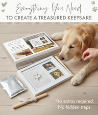 Paw Print Clay Mould & Photo Frame Kit