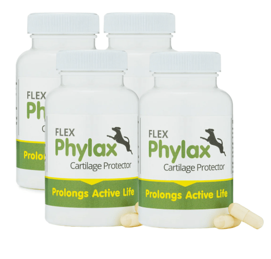Phylax cartilage protector - 100 capsules - 3 months supply!
