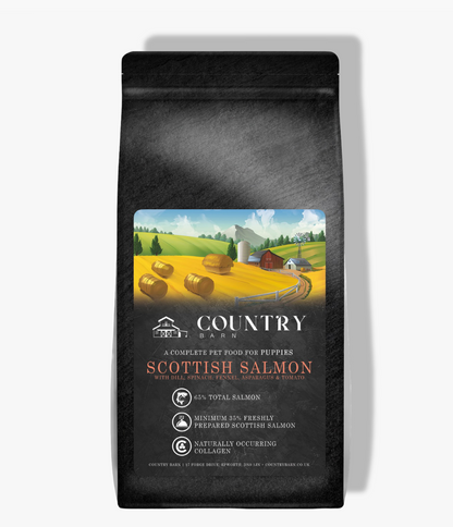 Puppy - Scottish Salmon-Dry Dog Food