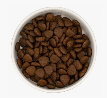 Country English Duck-Dry Dog Food