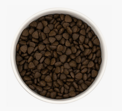 Puppy - Scottish Salmon-Dry Dog Food