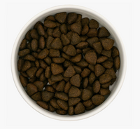 Senior - Scottish Salmon-Dry Dog Food