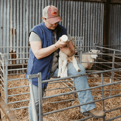 Sugar Loaf Highland Polar Fleece Gilet - Indigo Blue