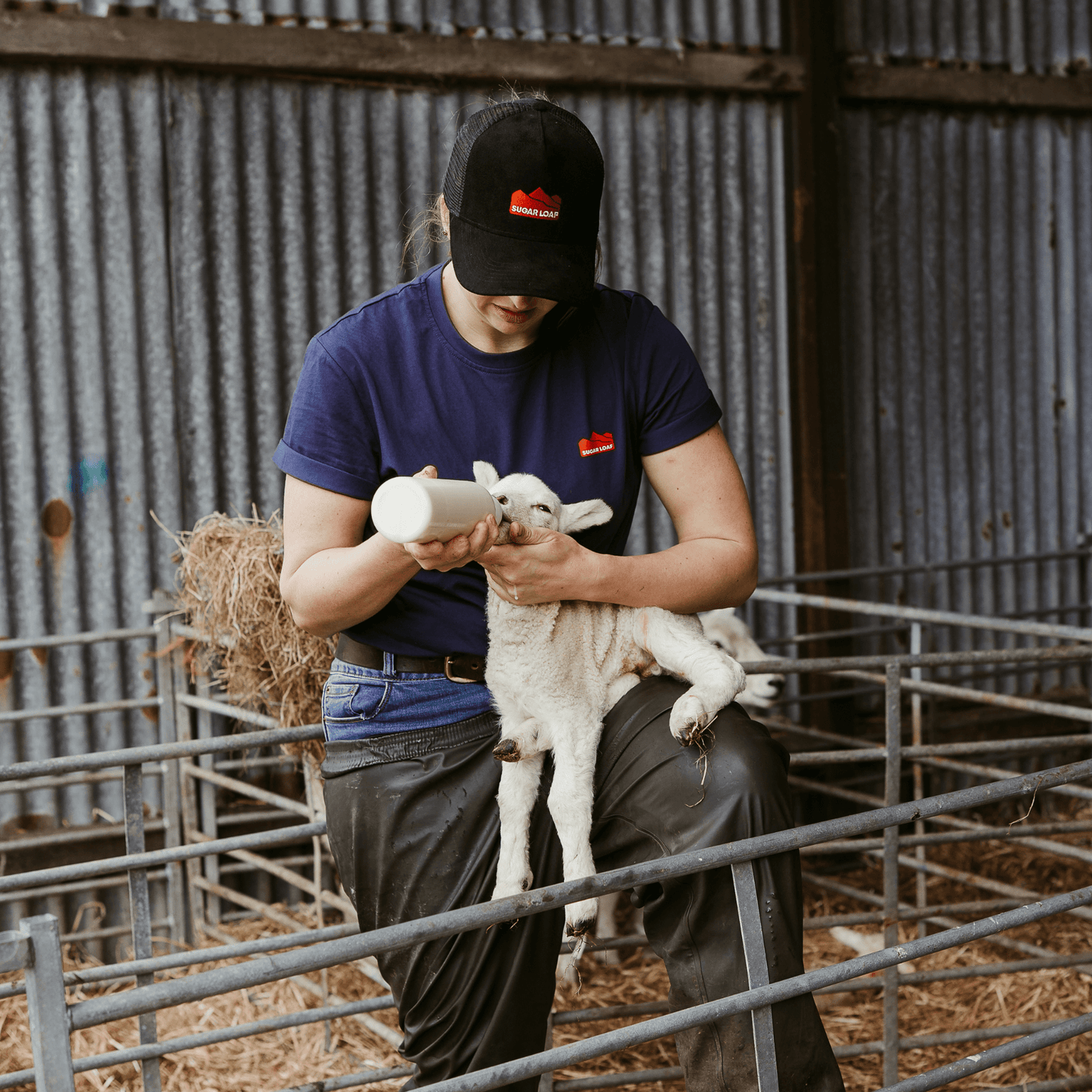 Sugar Loaf Territory T-Shirt - Indigo Blue