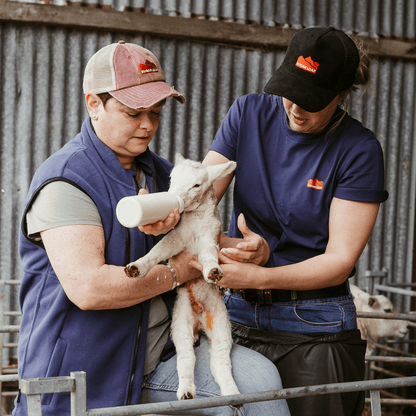 Sugar Loaf Territory T-Shirt - Indigo Blue
