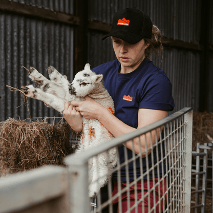 Sugar Loaf Territory T-Shirt - Indigo Blue