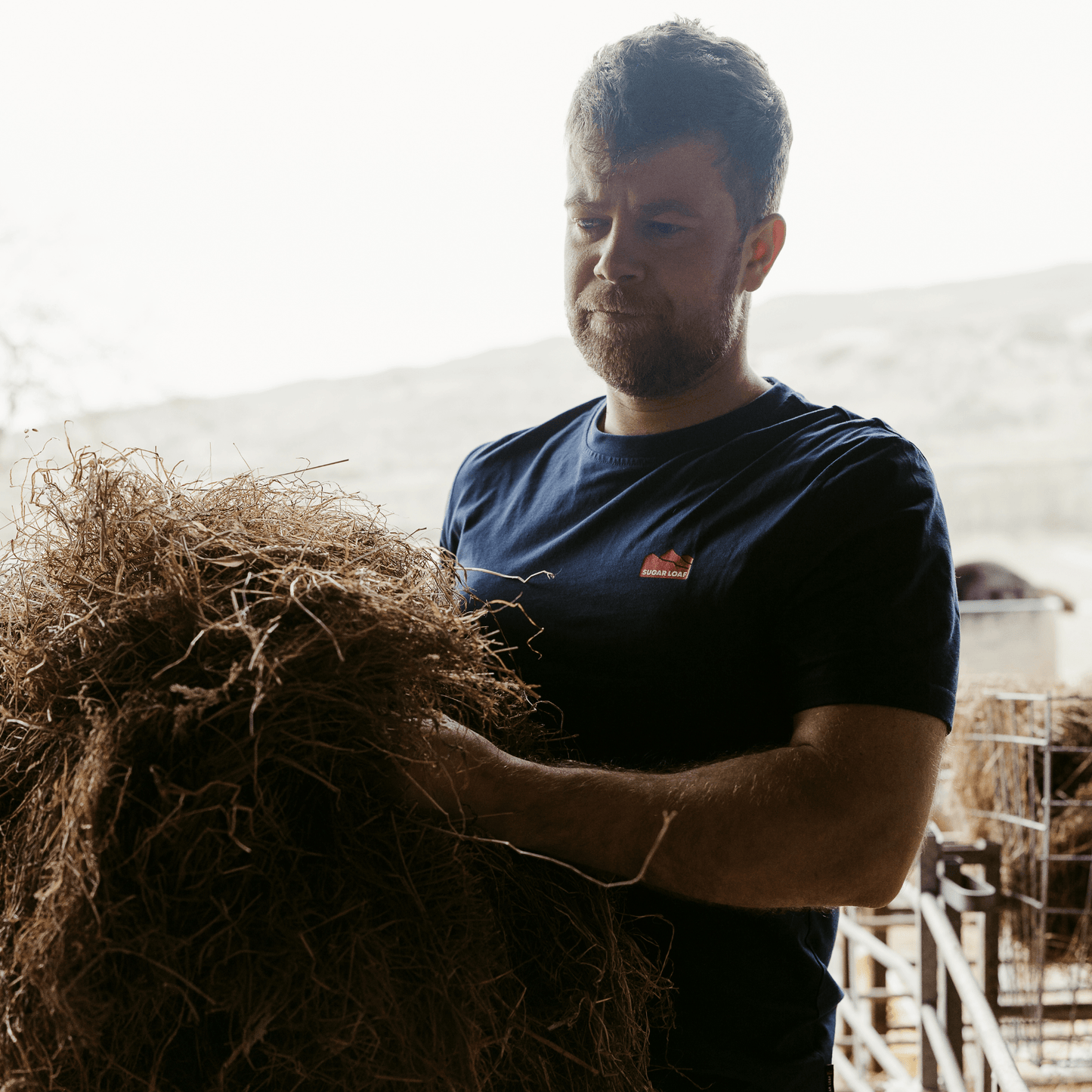 Sugar Loaf Territory T-Shirt - Indigo Blue