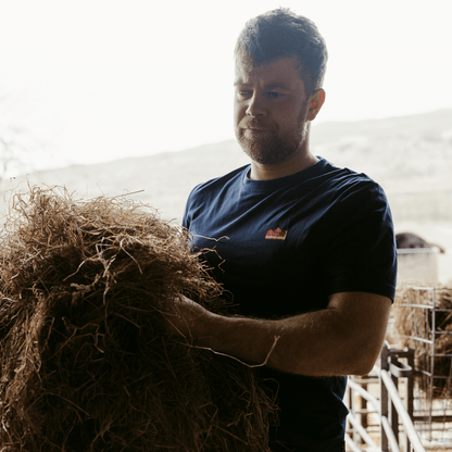 Sugar Loaf Territory T-Shirt - Indigo Blue