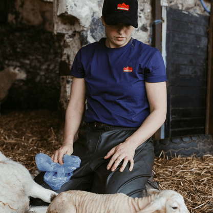 Sugar Loaf Territory T-Shirt - Indigo Blue