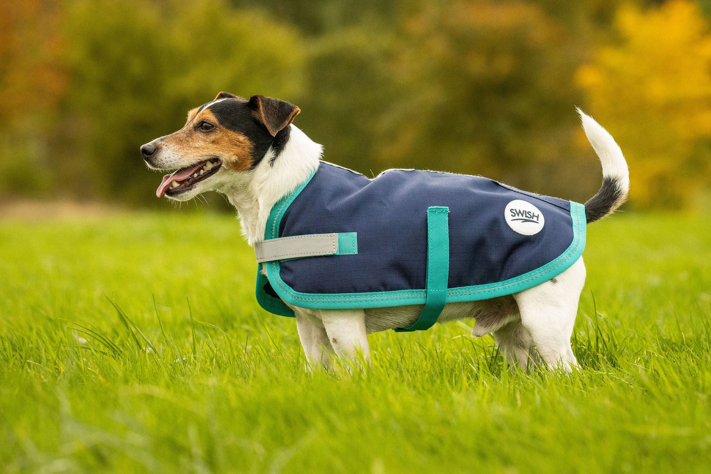 Classic Waterproof Dog Coat - Navy 250g