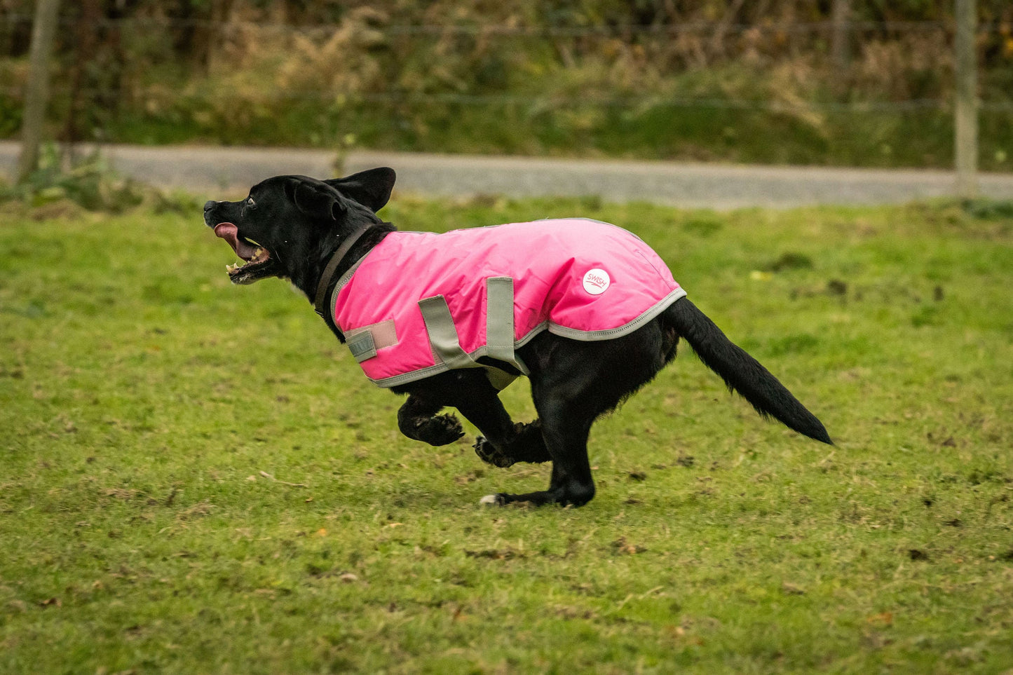 Classic 240g Waterproof Dog Coat - High Viz Pink
