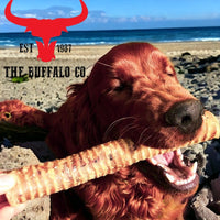 Buffalo Trachea Rounds - Dog Treats
