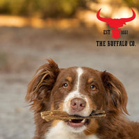 Buffalo Tripe - Dog Treats