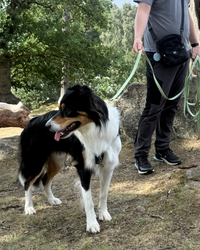 Waterproof 10m Longline Lead | Fido’s Trails – Durable, Lightweight, Ideal for Dog Training and Outdoor Adventures