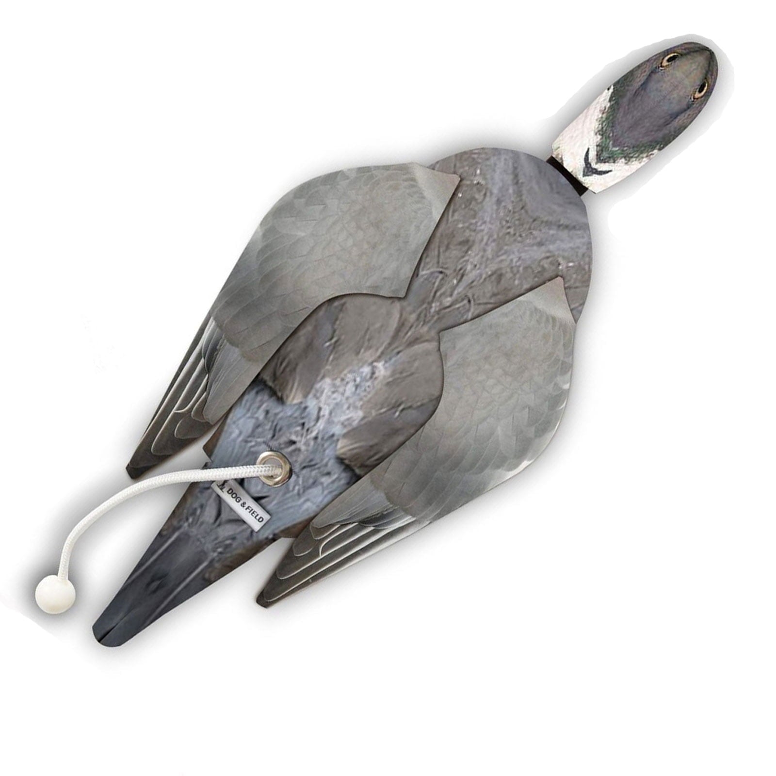 Wood Pigeon Dead Bird Dummy