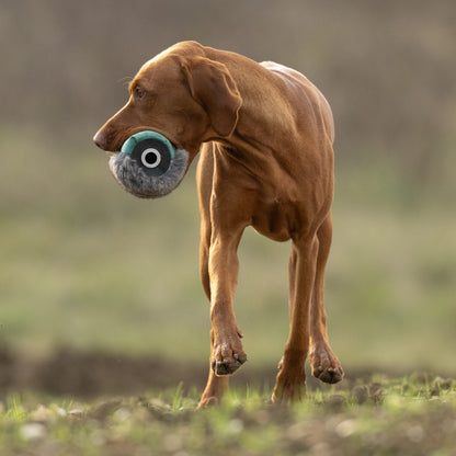 Rabbit Launcher Dummy.