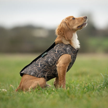 Neoprene Dog Vest.