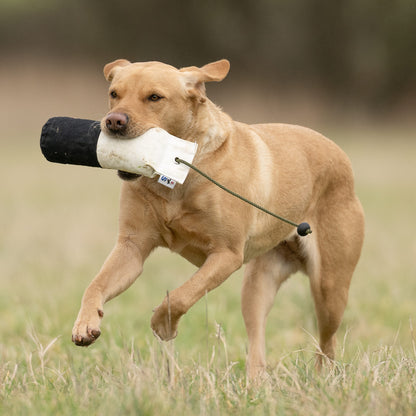The Joker Canvas Range.
