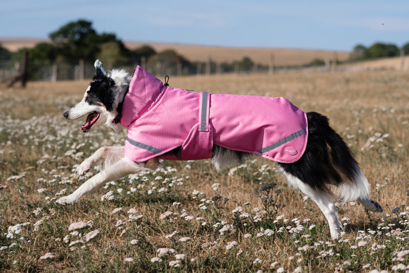 Luxe Waterproof Dog Coat 250g - Baby Pink
