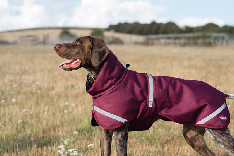 Luxe Waterproof Dog Coat 0g - Burgundy
