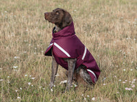 Luxe Waterproof Dog Coat 250g - Burgundy