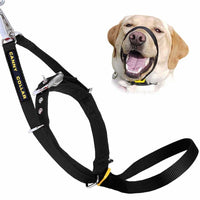 The Canny Collar | No-Pull Dog Headcollar | Voted Best New Product | 4 Colours | 7 Sizes