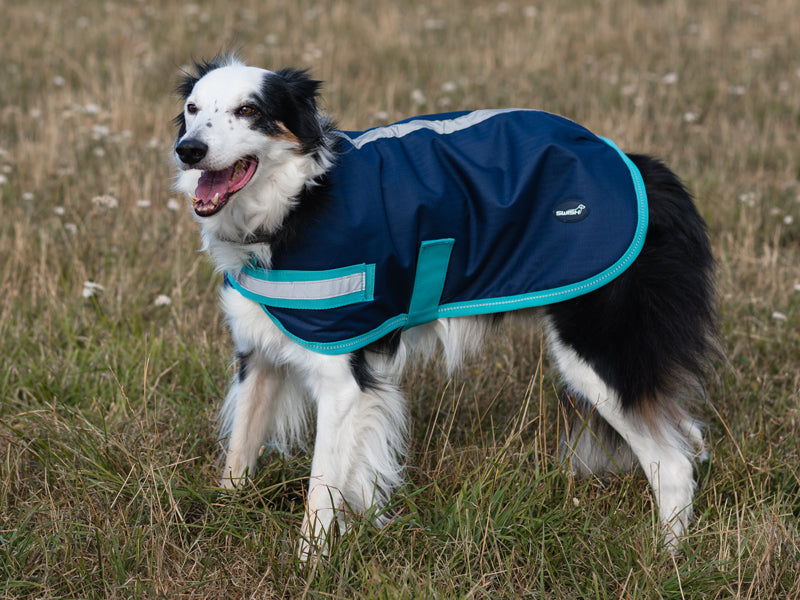 Classic Waterproof Dog Coat - Navy 250g