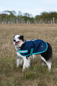Classic Waterproof Dog Coat - Navy 150g