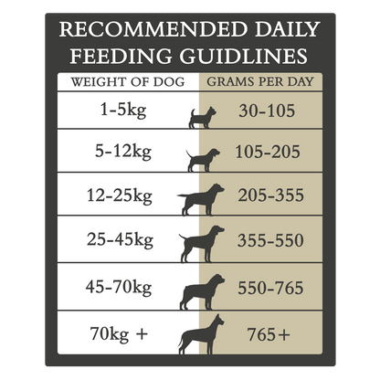 Country Pursuit Maintenance Lifestyle Adult Dog Food 3kg