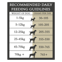 Country Pursuit Maintenance Lifestyle Adult Dog Food 300g Sample