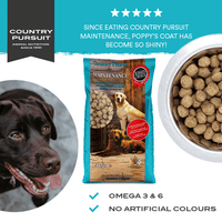 Country Pursuit Maintenance Lifestyle Adult Dog Food 3kg