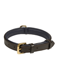 Deluxe Padded Leather Dog Collar