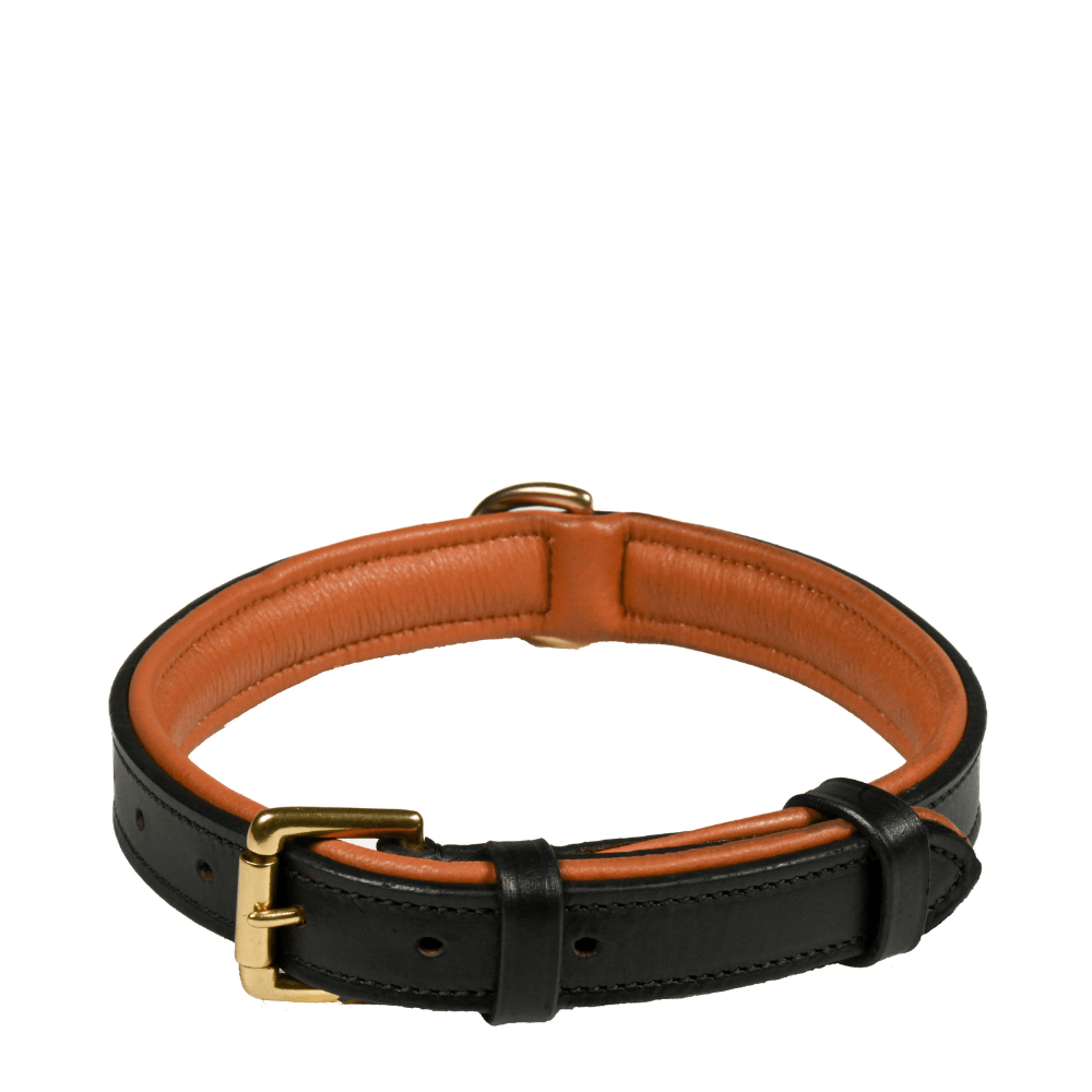 Deluxe Padded Leather Dog Collar