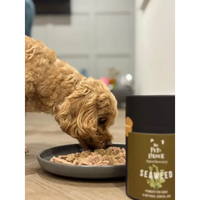 Dental Seaweed for Dogs: Plaque Removal