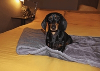 THE BALMORAL | LUXURY GREY HERRINGBONE & FAUX FUR REVERSIBLE DOG BLANKET