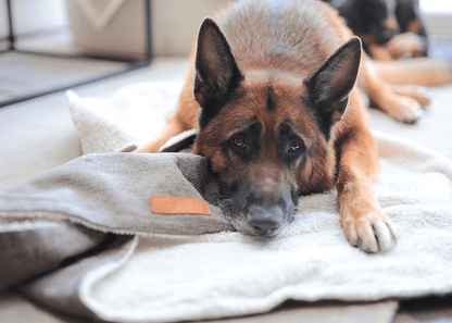 THE LINCOLN | LUXURY TWEED & FAUX FUR REVERSIBLE DOG BLANKET
