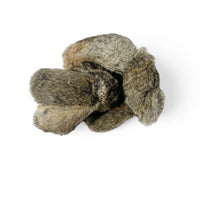 Dog retrieving the Dog & Field Real Feel Rabbit Dummy
