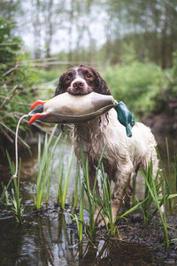 Dokken Dead Fowl Trainer | Mallard | Water & Wildfowl