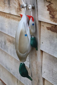 Dokken Puppy Mallard | Dead Fowl Trainer for Puppies